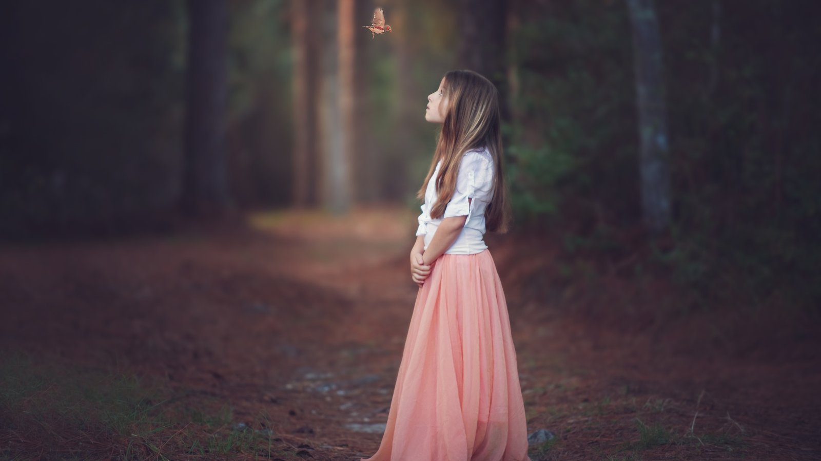 百家号作品被抄袭如何举报