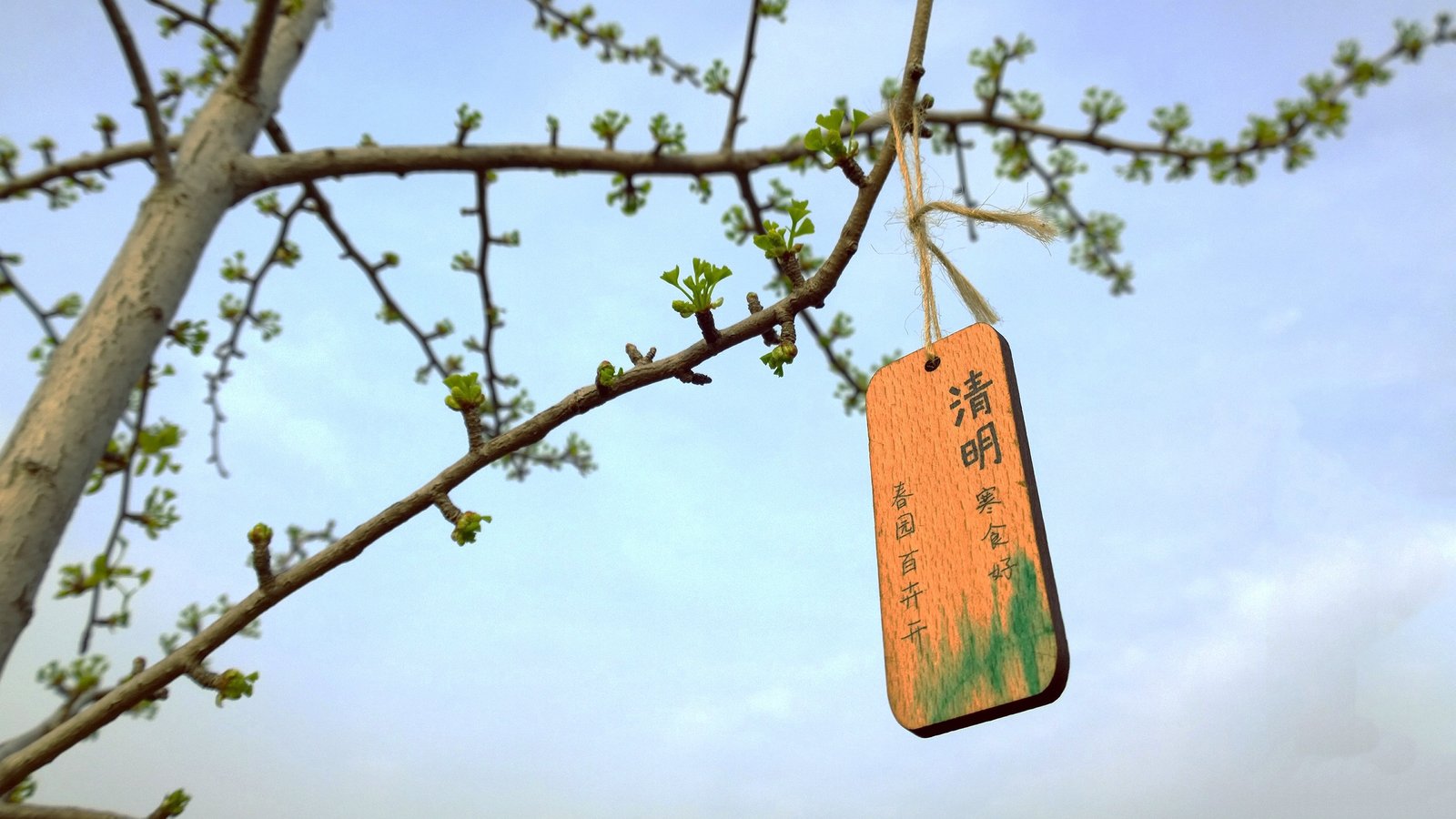 WellCMS - 承载亿级数据的高负载轻CMS系统