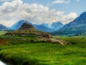 风景 自然 草原