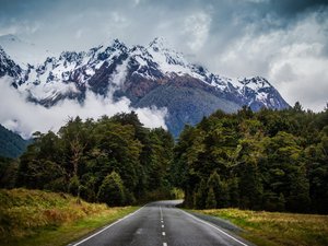 风景 公路 雪山