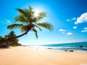 安卓风景 旅游 度假 沙滩手机壁纸