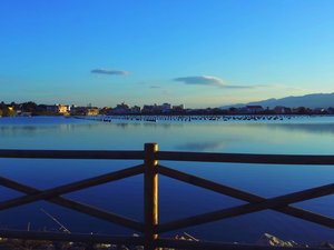 风景 城市 海滨