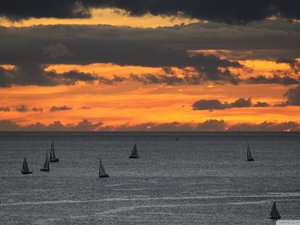 风景 大海 帆船