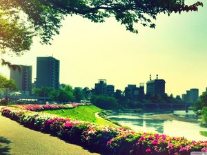 安卓风景 摄影 城市 街道手机壁纸
