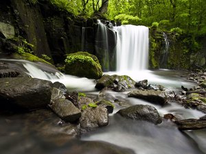 安卓春意盎然 风景 风光 美景 旅游 自然 春天 清爽手机壁纸