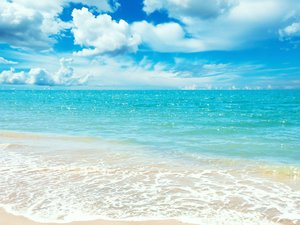 安卓风景 大海 夏天 凤凰 全景 炎炎夏日手机壁纸