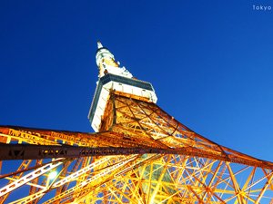 风景 旅游 日本 东京塔