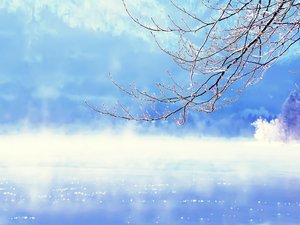 安卓小清新 清新淡雅 雪手机壁纸