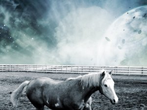安卓经典 A Dreamy World 梦幻 世界 艺术 设计手机壁纸