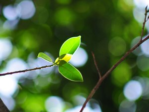 小清新 清爽 温馨