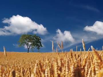 风景 自然风光 大自然