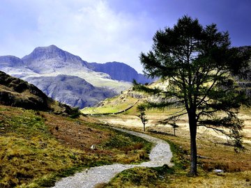 风景 自然 山脉 小路