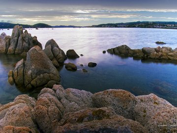 风景 海岸 礁石