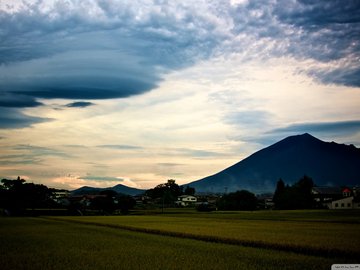 风景 田园