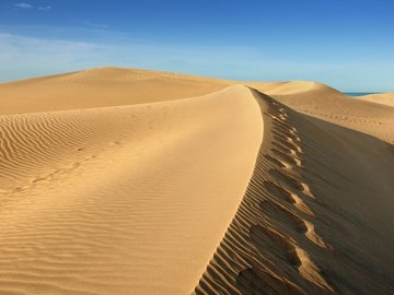 风景 沙漠