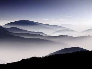 风景 山谷 雾