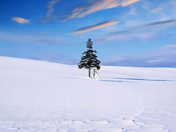 秀丽景色 风景 风光 美景 旅游 自然