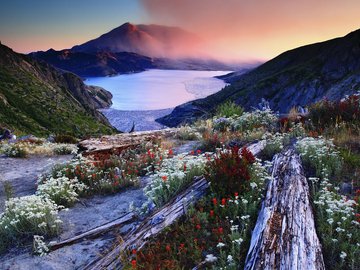 火山 湖面 风景 风光 美景 旅游 自然