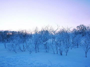 风景 极影帮 摄影