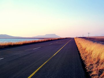 风景 自然风光 路