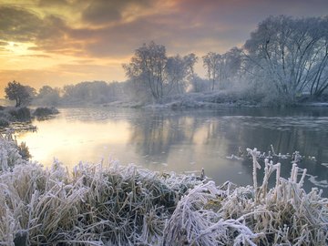 风景 雪景 河流 树林