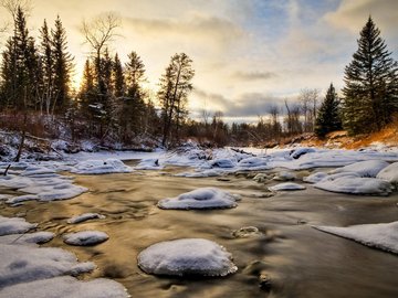 风景 雪景 河流 树林