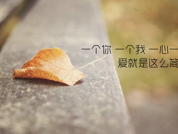 爱情 文案