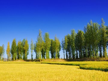 风景 风光 美景 旅游 自然