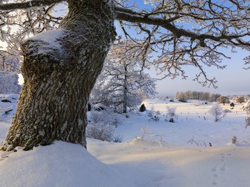 风景 旅游 瑞典 雪景