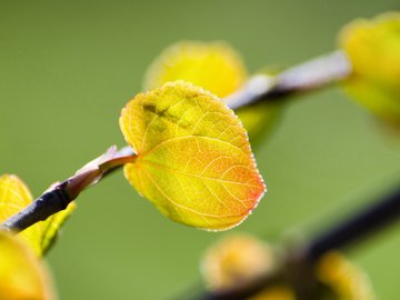 小清新 清爽 温馨 静物写真