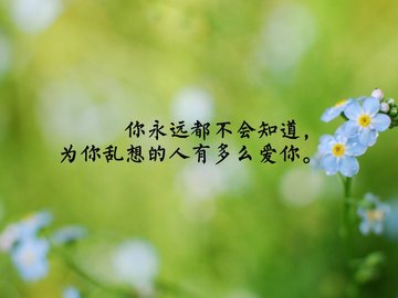 爱情 爱情箴言 温馨