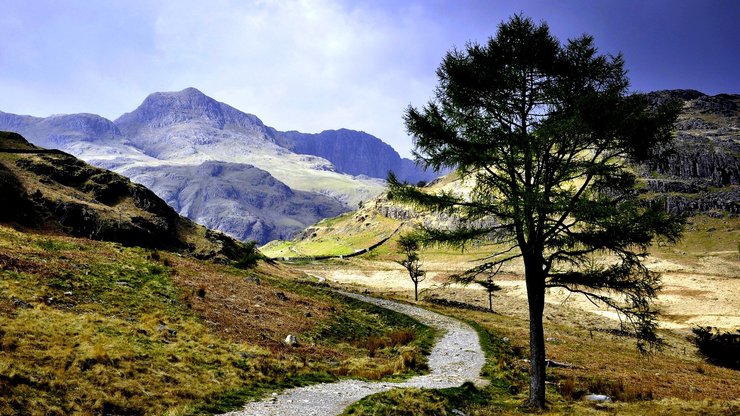 风景 自然 山脉 小路