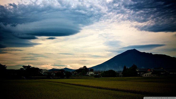 风景 田园