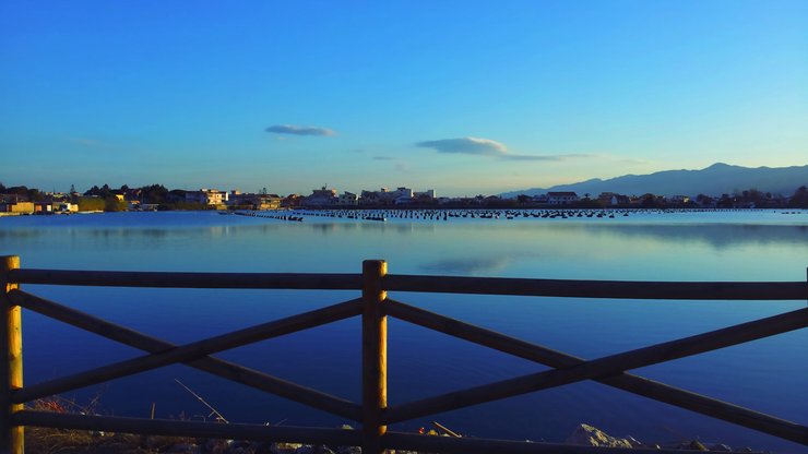 风景 城市 海滨