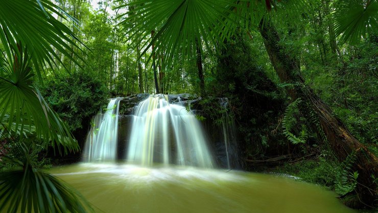 春意盎然 风景 风光 美景 旅游 自然 春天 清爽