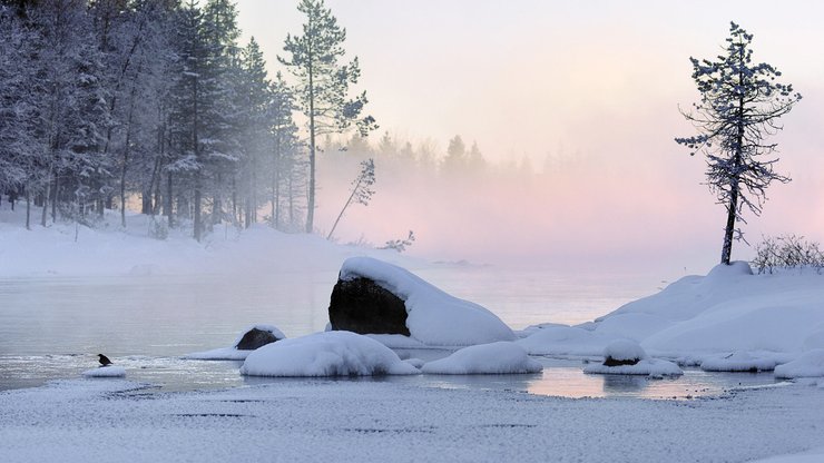 风景 雪景 树林 河流