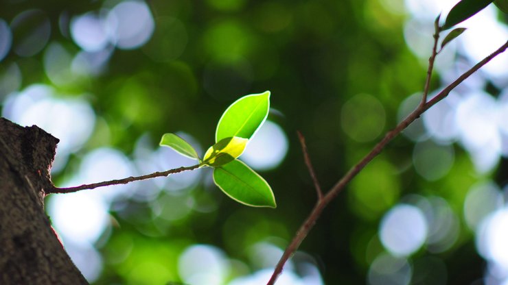 小清新 清爽 温馨