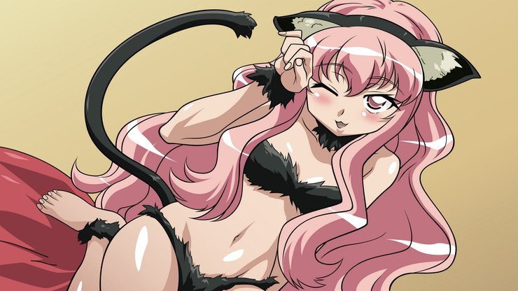 安卓手机动漫 动漫少女 插画 零之使魔 猫女郎高清壁纸