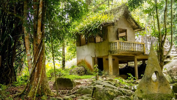 安卓手机超宽 全景 风景 树林 春意盎然 mlgb高清壁纸