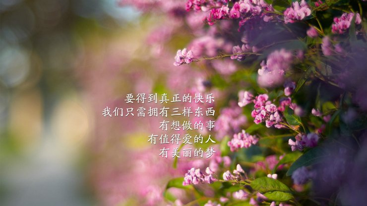安卓手机爱情 文案高清壁纸