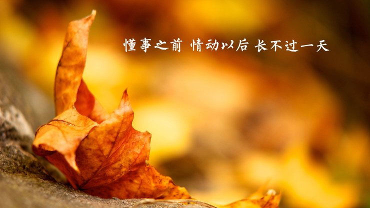 安卓手机爱情 方案高清壁纸
