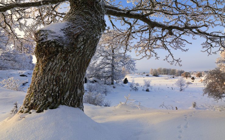 安卓手机风景 旅游 瑞典 雪景高清壁纸