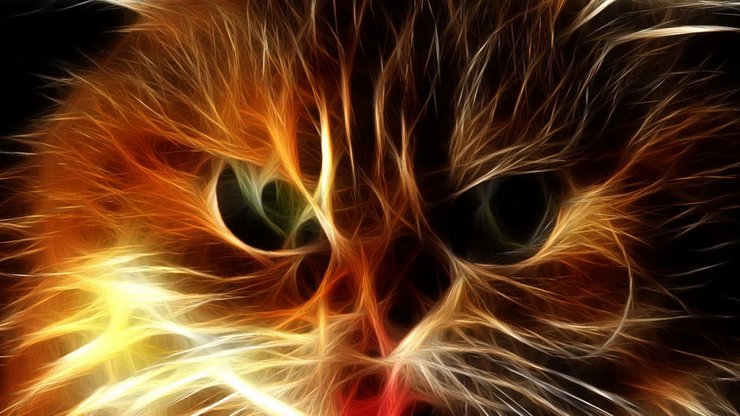安卓手机光线 描绘 猫科 动物高清壁纸