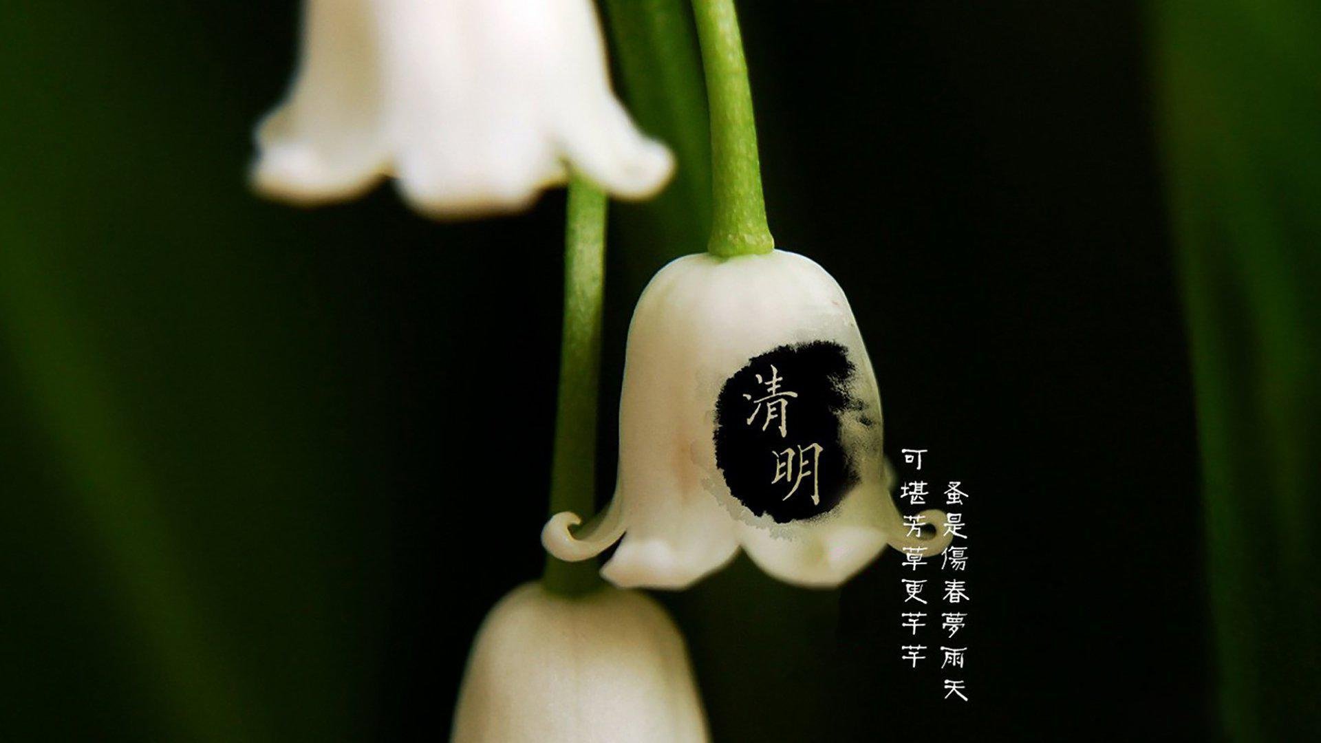 清明节,节日美图