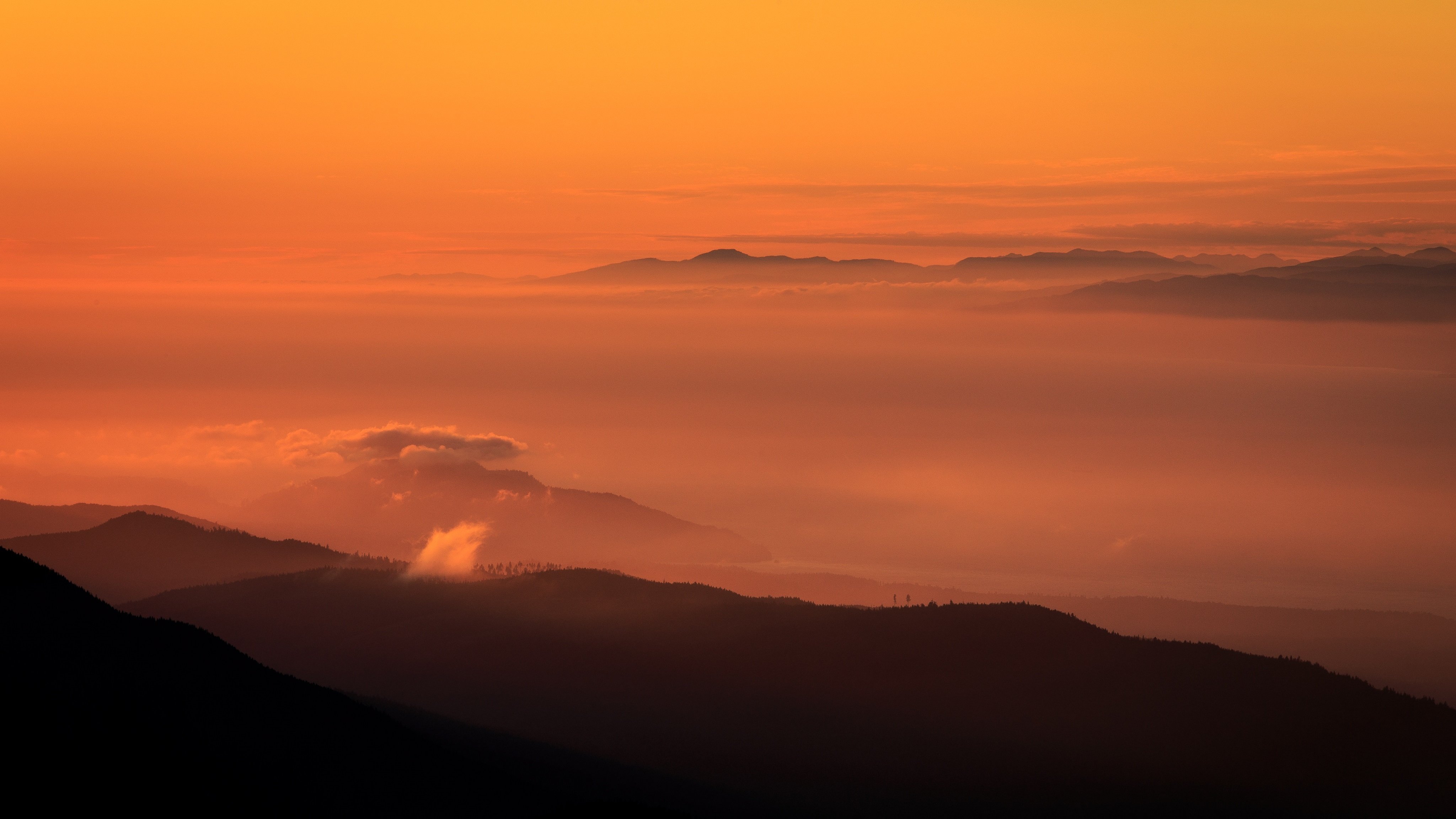 风景,迷雾,山林,4K专区