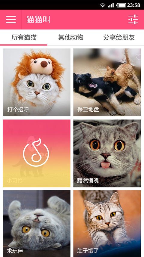 猫猫叫截图4