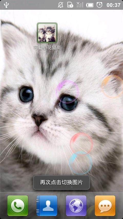 可爱小花猫高清手机壁纸