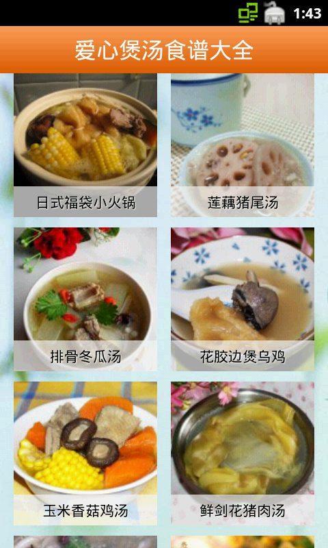 爱心煲汤食谱大全截图2