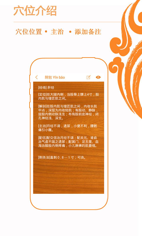 经络养生截图3