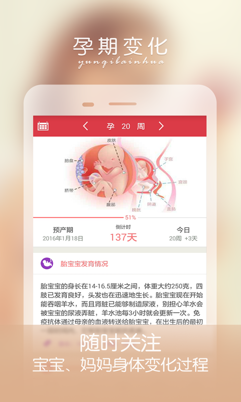 孕妇伴侣截图1